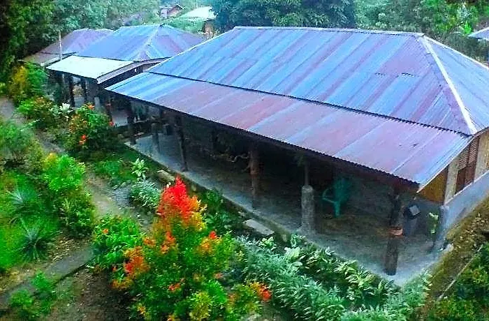 Green Lodge Tangkahan