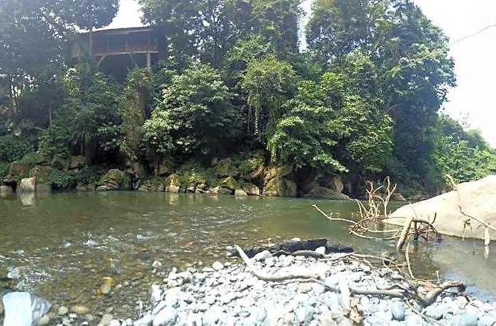 Green Lodge Tangkahan