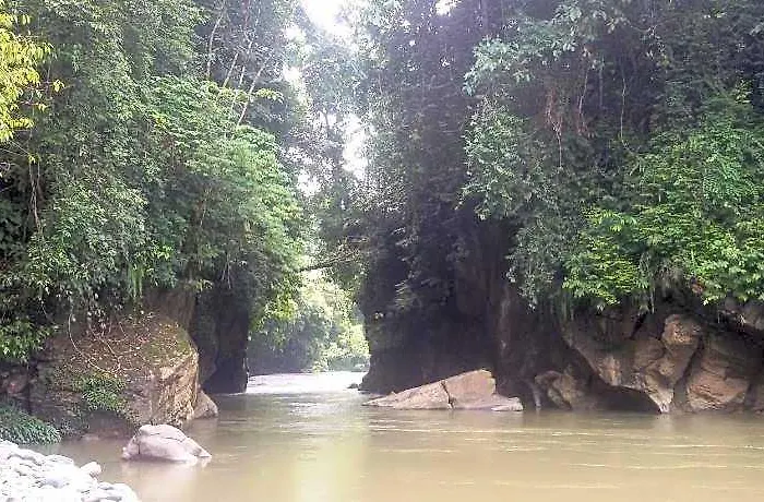 Green Lodge Tangkahan
